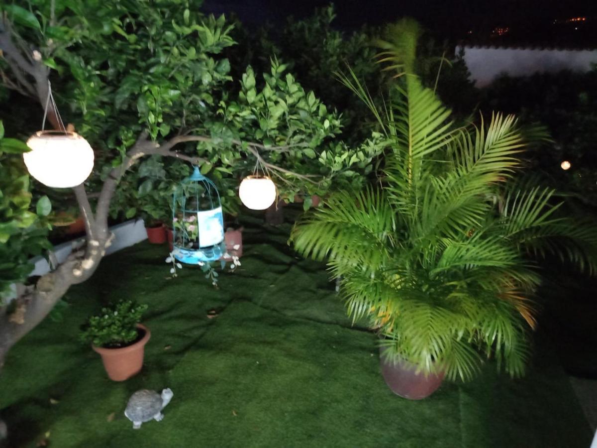 ブレーニャ・バハCasa Nine Con Piscina Vacacional La Palmaアパートメント エクステリア 写真